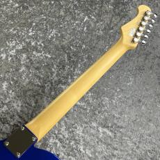 FUJIGEN Basic Classic Series BCTE100RBD-MBL ~Metallic Blue~ #C240415【3.59kg】_10