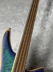 Jackson Pro Series Spectra Bass SBFM IV - Chlorine Burst -【3.77kg】_6