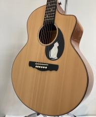 NATASHA CAT  【特価】