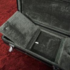 Steinberger GT-GL Guitar Hard Case_3