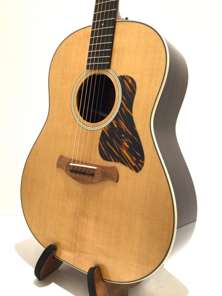 Taylor Gold Label 717e 新品 1477210 Taylor(テイラー)【楽器検索｜J 