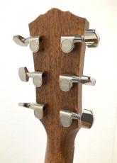 Taylor Gold Label 517e_7