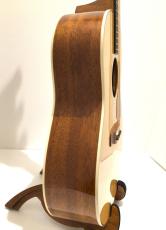 Taylor Gold Label 517e_9