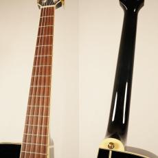 Takamine TSP100 KT-N #63050322【限定10本】_8