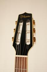 Takamine TSP100 KT-N #63050322【限定10本】_9