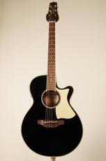 Takamine TSP100 KT-1 #63050304【限定10本】_2