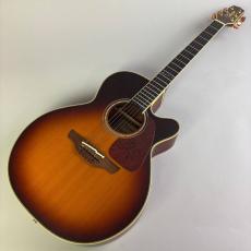 Takamine TN-520BS_2