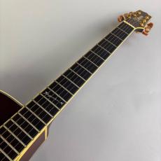 Takamine TN-520BS_3