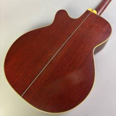 Takamine TN-520BS_5