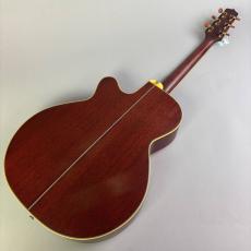 Takamine TN-520BS_6
