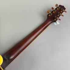 Takamine TN-520BS_7