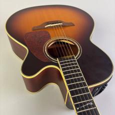 Takamine TN-520BS_9
