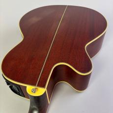 Takamine TN-520BS_10