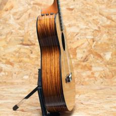 Taylor 212ce-N Plus_4