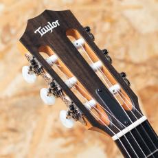 Taylor 212ce-N Plus_8