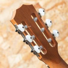 Taylor 212ce-N Plus_9