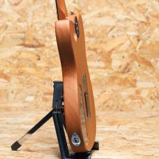 Fender Acoustasonic Player Telecaster  Shadow Burst_5