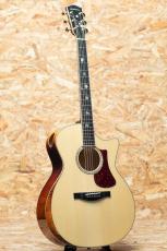 Eastman AC622ce_3