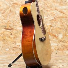 Eastman AC622ce_4