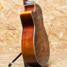 Eastman AC622ce_5