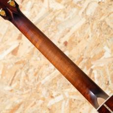 Eastman AC622ce_7