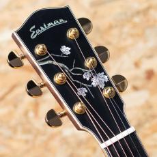 Eastman AC622ce_8
