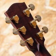 Eastman AC622ce_9