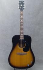 Gibson J-160E_2