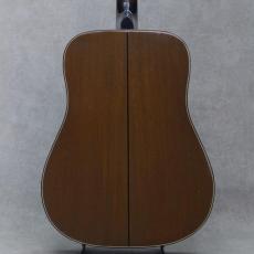 Gibson J-160E_3