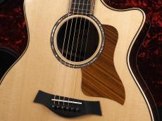 Taylor 814ce -Next Generation-_5