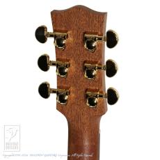 Maton ER90C-808_9