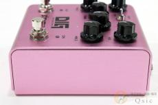 strymon DIG V2 [VK422]_4