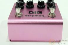 strymon DIG V2 [VK422]_5