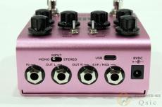 strymon DIG V2 [VK422]_6