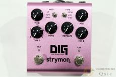 strymon DIG V2 [VK422]_7