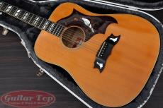 Gibson Dove Custom NAT '78_2