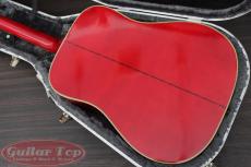 Gibson Dove Custom NAT '78_3