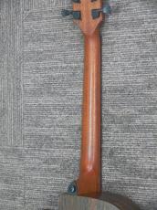 LAG Guitars T270DCE NA_10