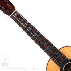 DaSilva TB-Tenor-Blue【48回無金利キャンペーン発動中!】_5