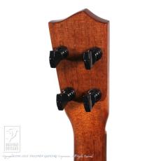 DaSilva TB-Tenor-Blue【48回無金利キャンペーン発動中!】_8