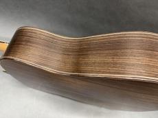 Terry's Terry Premium Terry PTJ-100 MS 45th Anniversary “Sakura” 2018年製　/ Abalone Sakura Inlay・Spruce Top・Indian Rosewood Side and Back・Abalone Rosette・Ebony Fingerboard and Bridge・Tortoise Color Pick guard _4