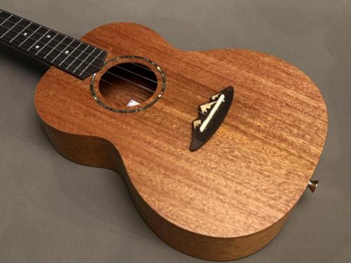 TODO MUSIC UTD-B10T Tenor
