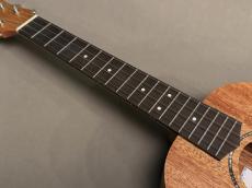 TODO MUSIC UTD-B10T Tenor_6