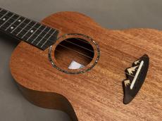 TODO MUSIC UTD-B10T Tenor_8