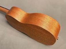 TODO MUSIC UTD-B10T Tenor_10