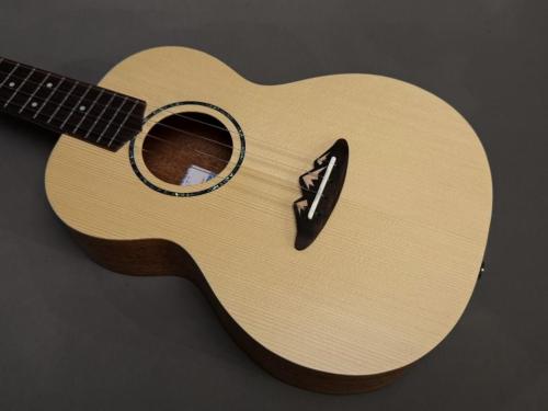 TODO MUSIC UTD-B20T Tenor