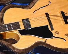 Archtop Tribute AT105L_6