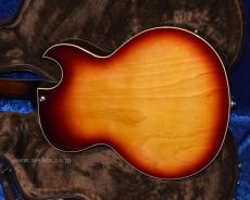 Archtop Tribute AT105L_3