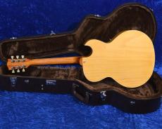 Archtop Tribute AT105L_4