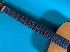 Martin D-21 150th ANNIVERSARY_7